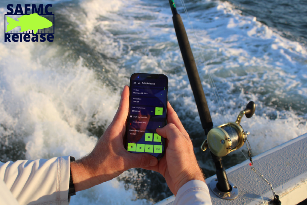Two hands holding iPhone and using the SciFish app to log information to the SAFMC Release citizen science project while on moving boat.